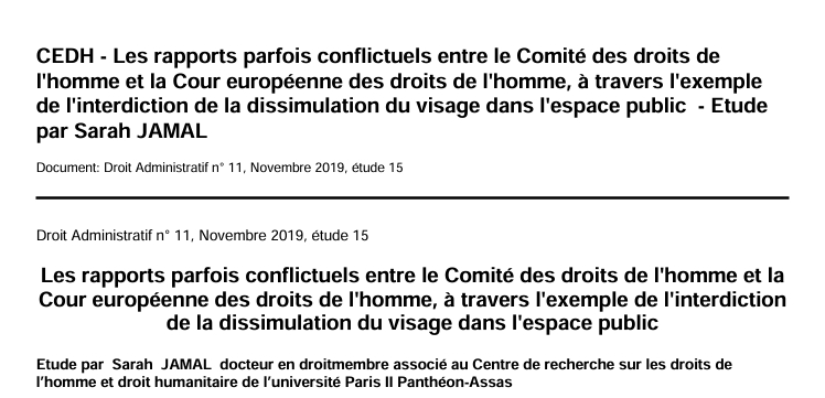 Les rapports parfois conflictuels entre le Comité des droits