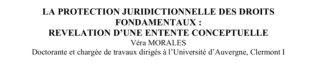 LA PROTECTION JURIDICTIONNELLE DES DROITS  FONDAMENTAUX :  REVELATION D’UNE ENTENTE CONCEPTUELLE